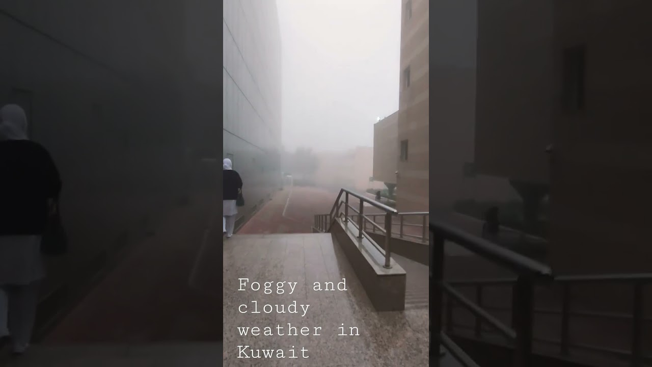 Fog at Kuwait #winter #kuwait #weather #shorts
