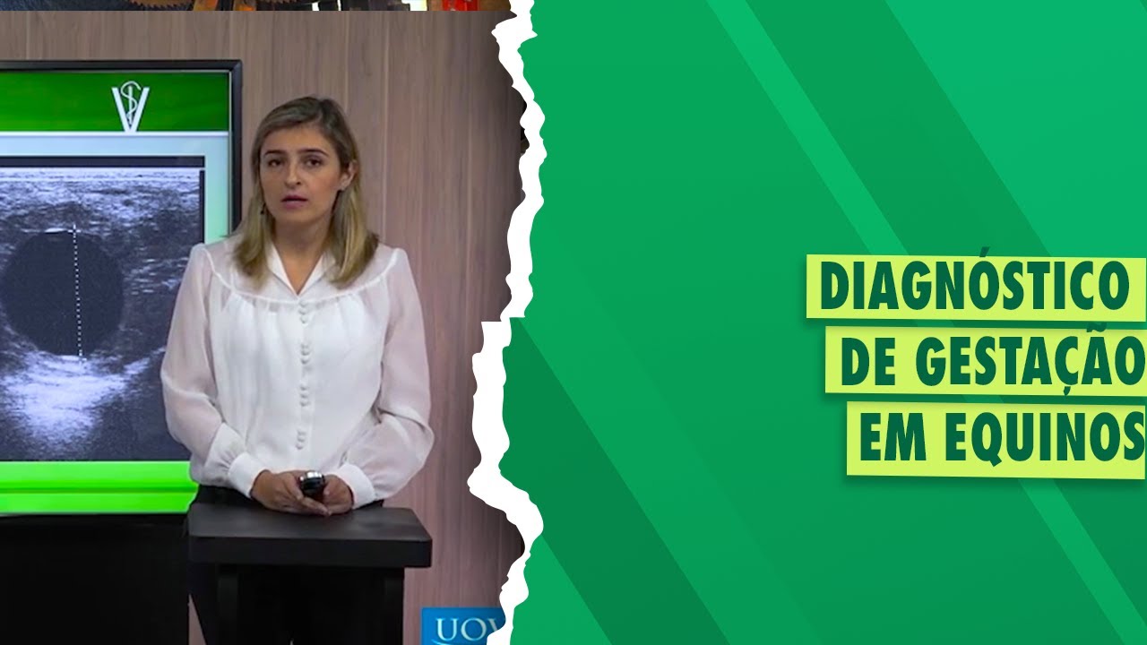 Semiologia do Sistema Reprodutor em Equinos