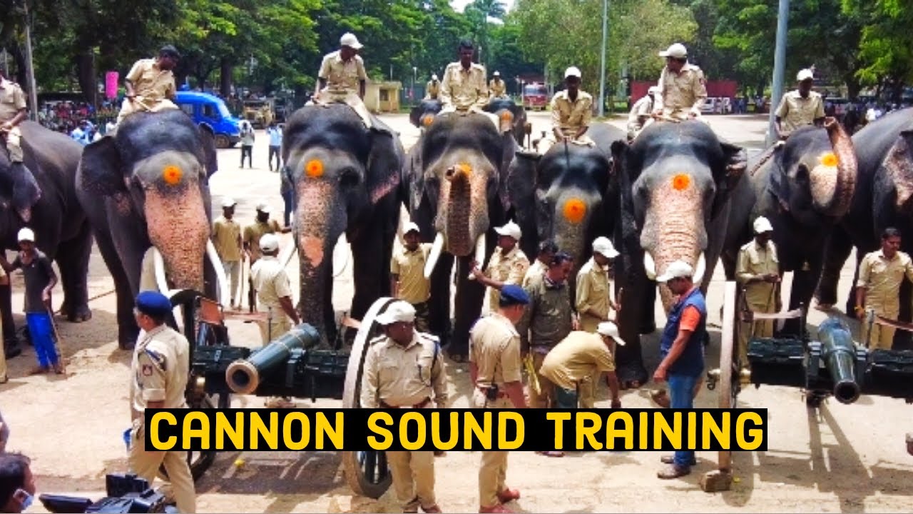 Dasara cannon Sound drill  to train Jambo savari Elephants 🐘  and police 🐎| Mysuru  dasara 2022