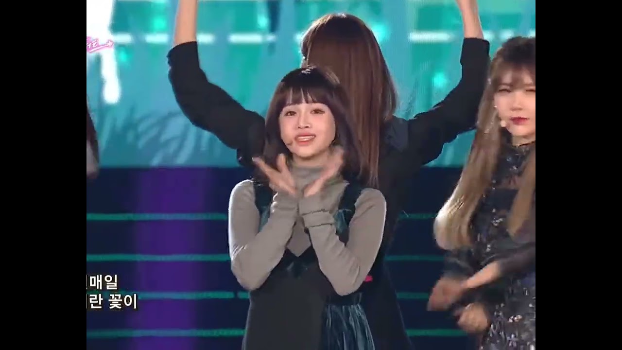 연장자 보람