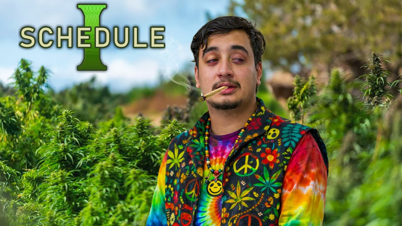 First day as a DRUG DEALER - SCHEDULE I