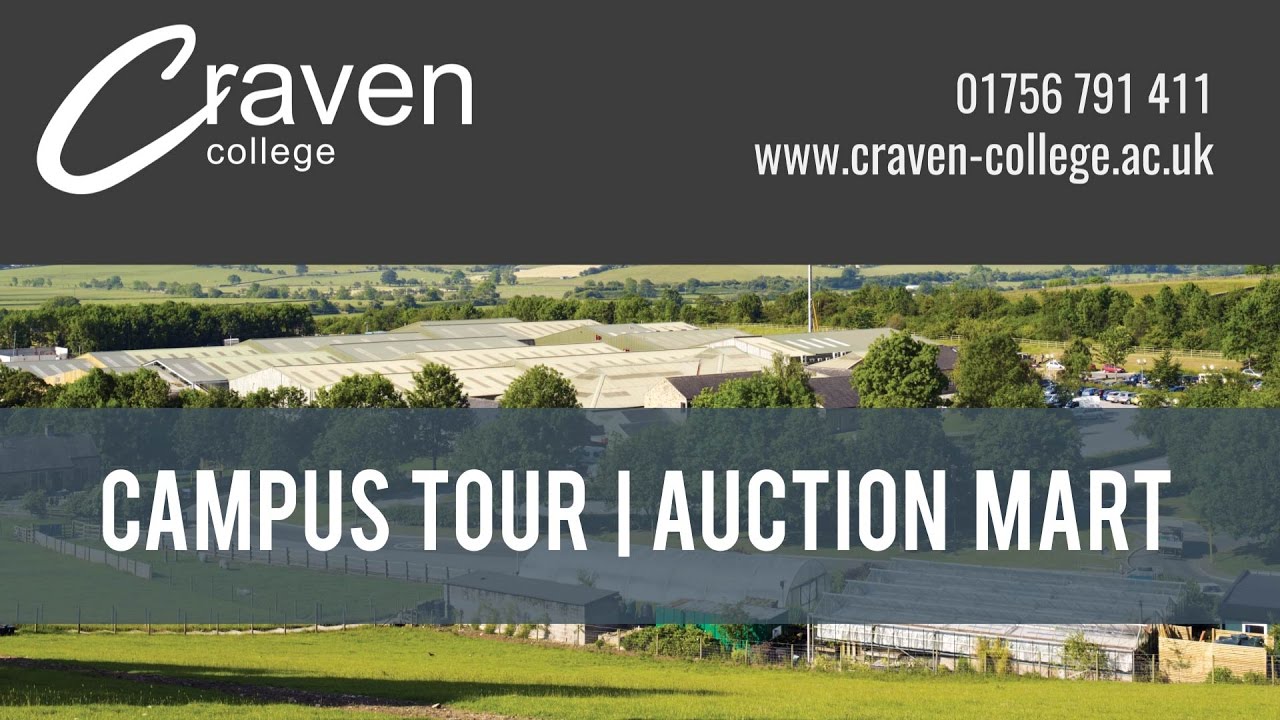 Campus Tour | Auction Mart
