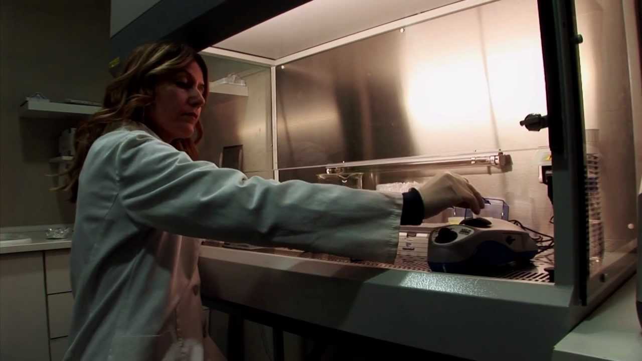 Biotehnicki fakultet Podgorica (2007. - 2012.)