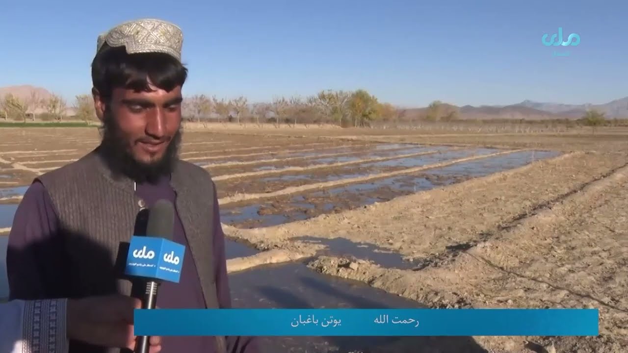 د کندهار د نیش ولسوالۍ اړوند د کندهار ملي راډیو تلویزون ځانګړی راپورتاژ