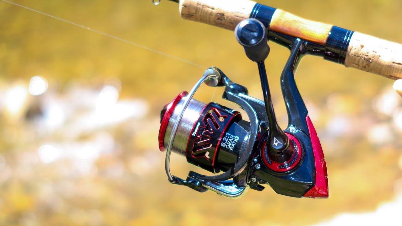 My new fishing reel
