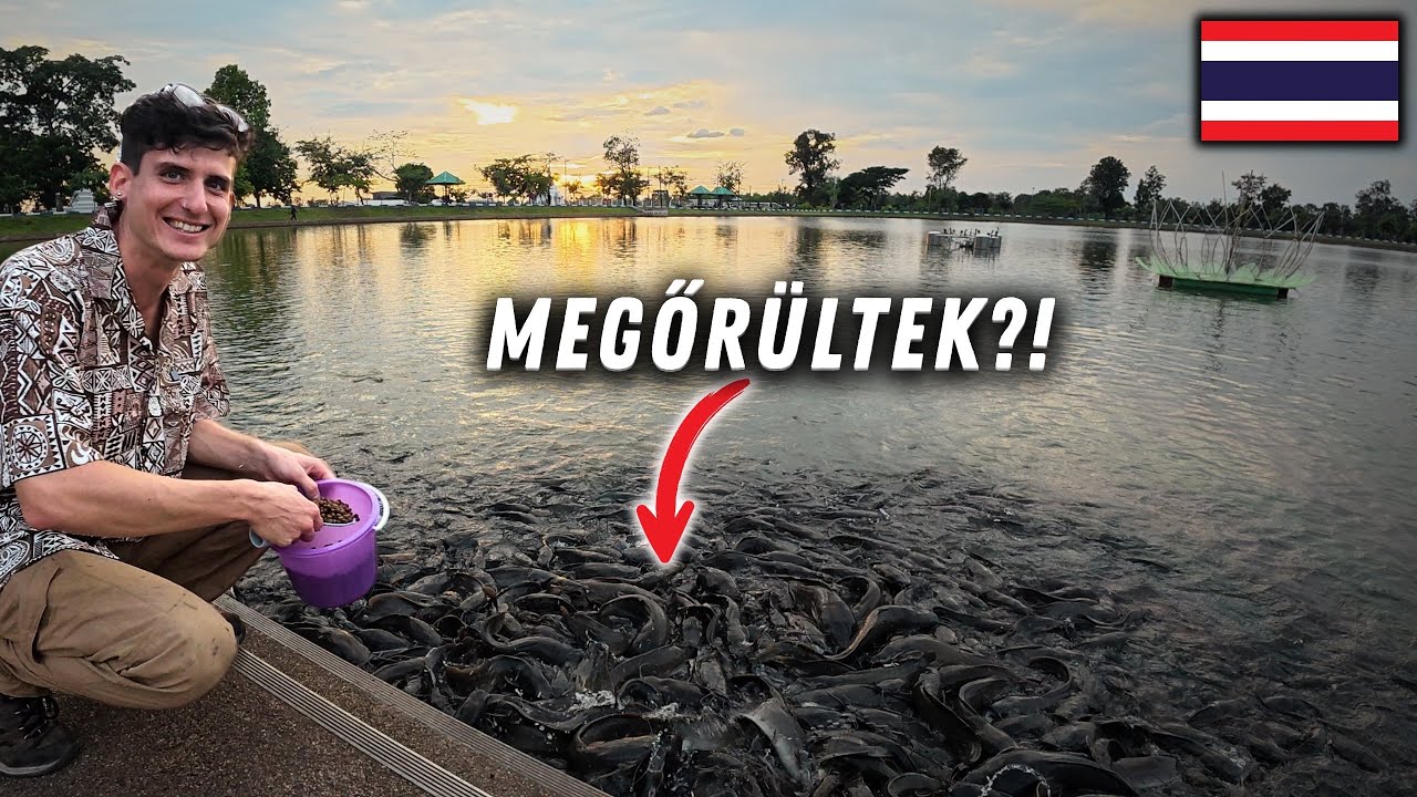 Ilyet m&eacute;g nem l&aacute;ttam Thaif&ouml;ld&ouml;n&hellip; MEGŐR&Uuml;LTEK a halak! 🇹🇭