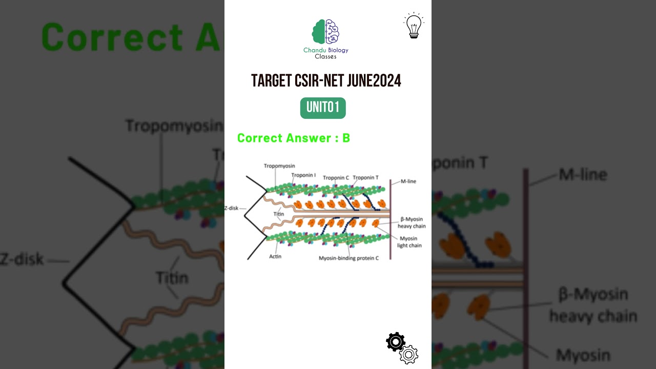 CSIR-NET LIFE SCIENCES | JUNE2024 