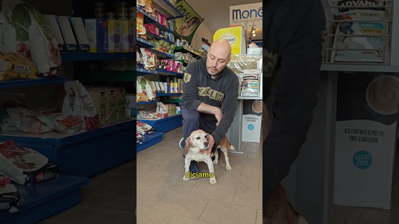 Come avvicinarsi a un cane? Guarda il video!