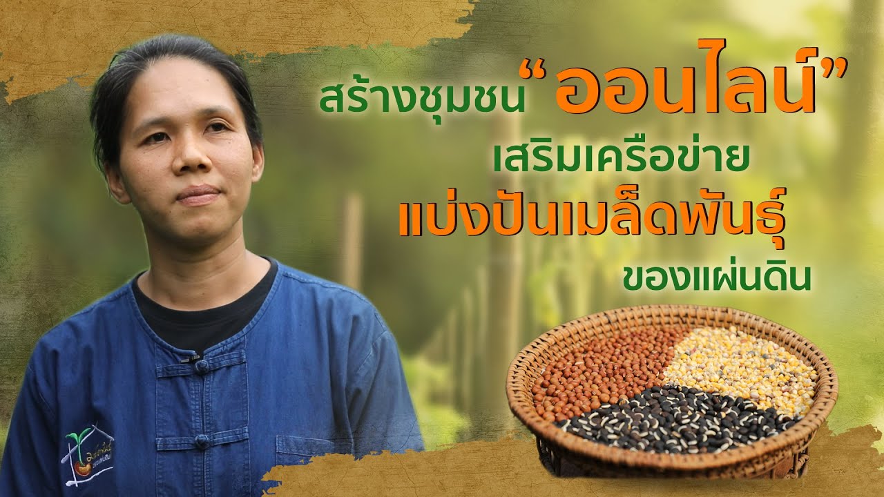 แจกเมล็ดผักฟรี ! ธนาคารเมล็ดพันธุ์ของแผ่นดิน