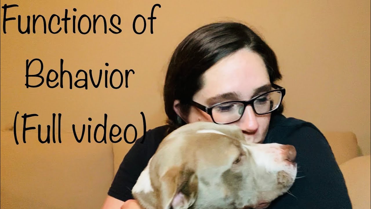 Functions of Behavior (full video)