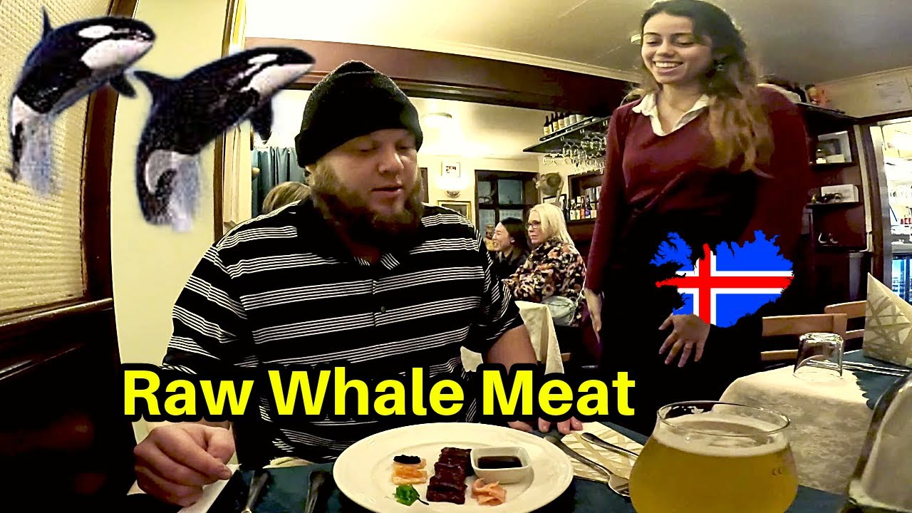 🇮🇸 EATING A WHALE IN ICELAND | SEARCHING FOR EXCUISITE ICELANDIC FOOD IN REYKJAVIK