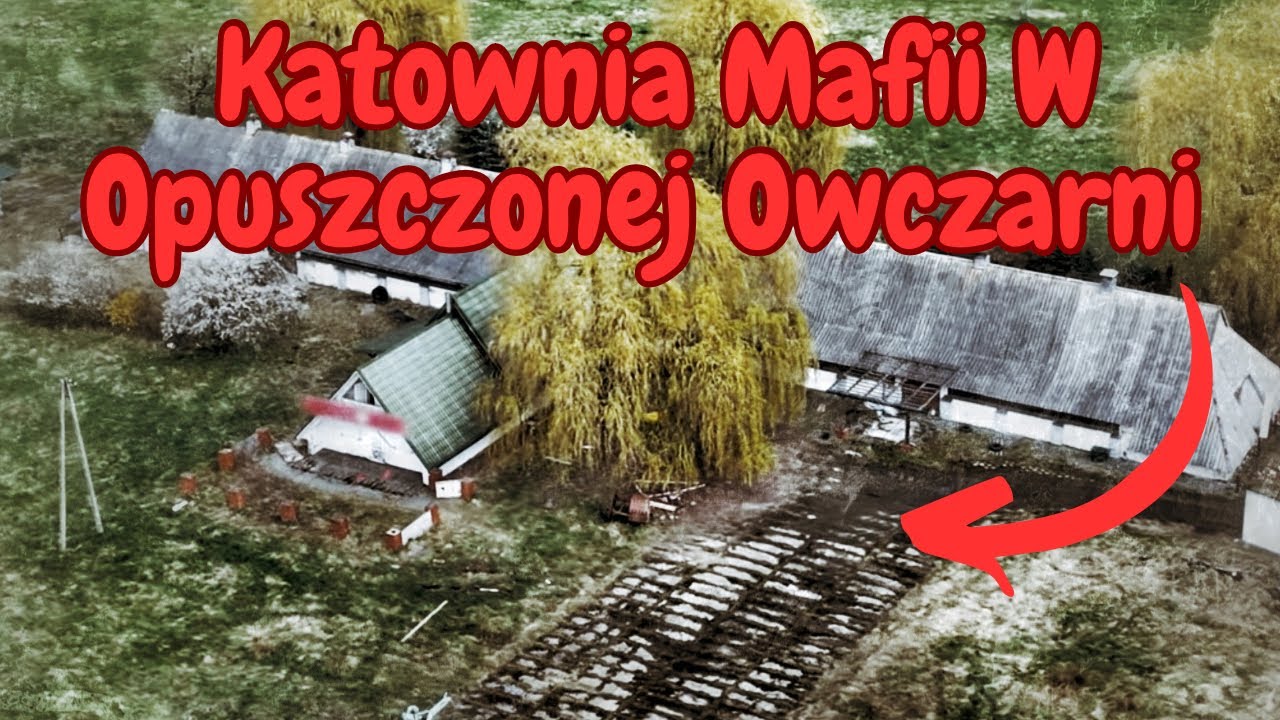 Cmentarz Mafii W Opuszczonej Owczarni