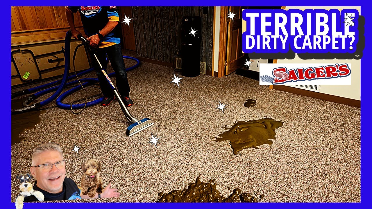 How Terrible Can this Carpet Be? You Won't Believe What We Clean