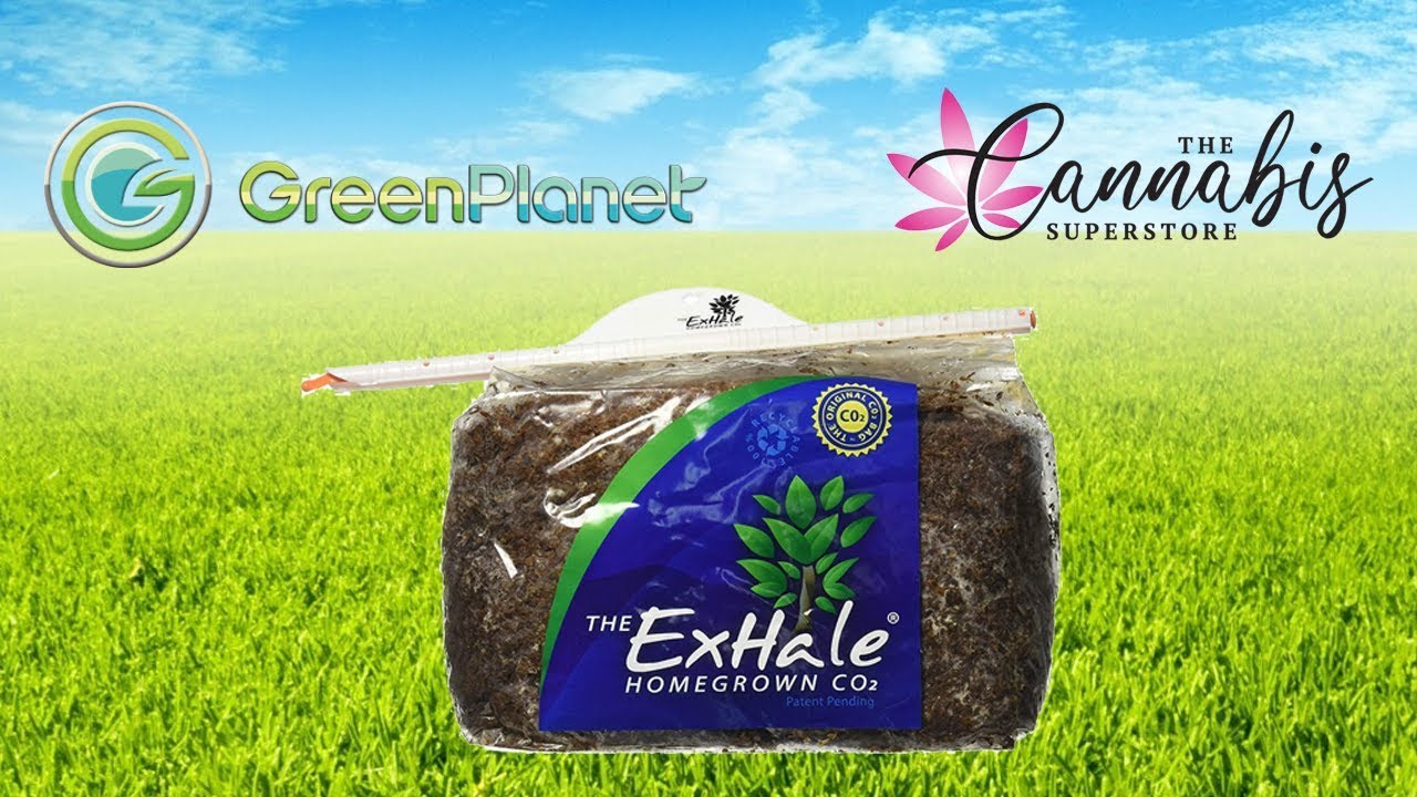 Breath Easy With ExHale CO2 Bags