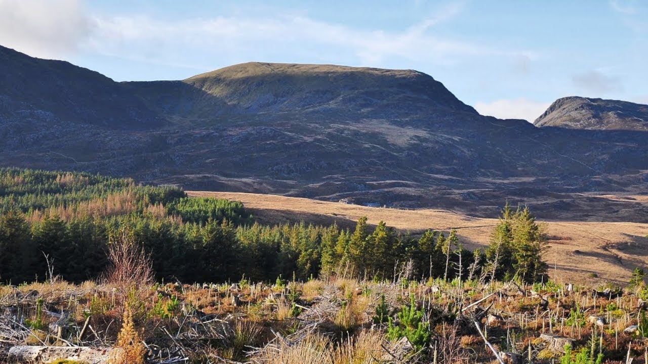 A Hidden Mountain Forest Walk in the Heart of Wales