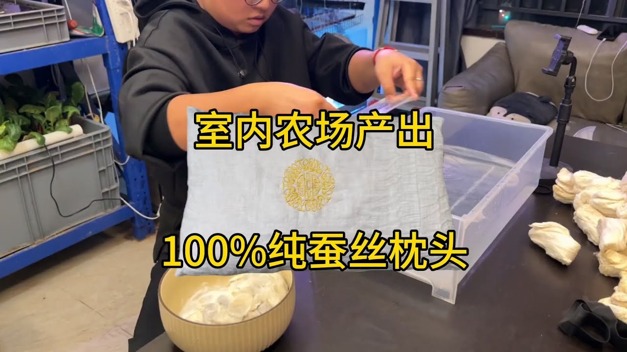 从养蚕到变成枕头的全过程，每一步都很要命【刘惟与】#室内农场 #生态循环 #沙雕日常