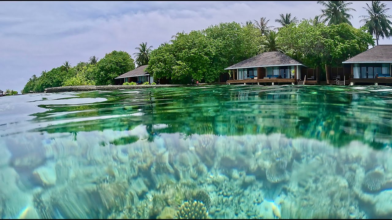 Lily Beach Resort and Spa - Hotel and House Reef