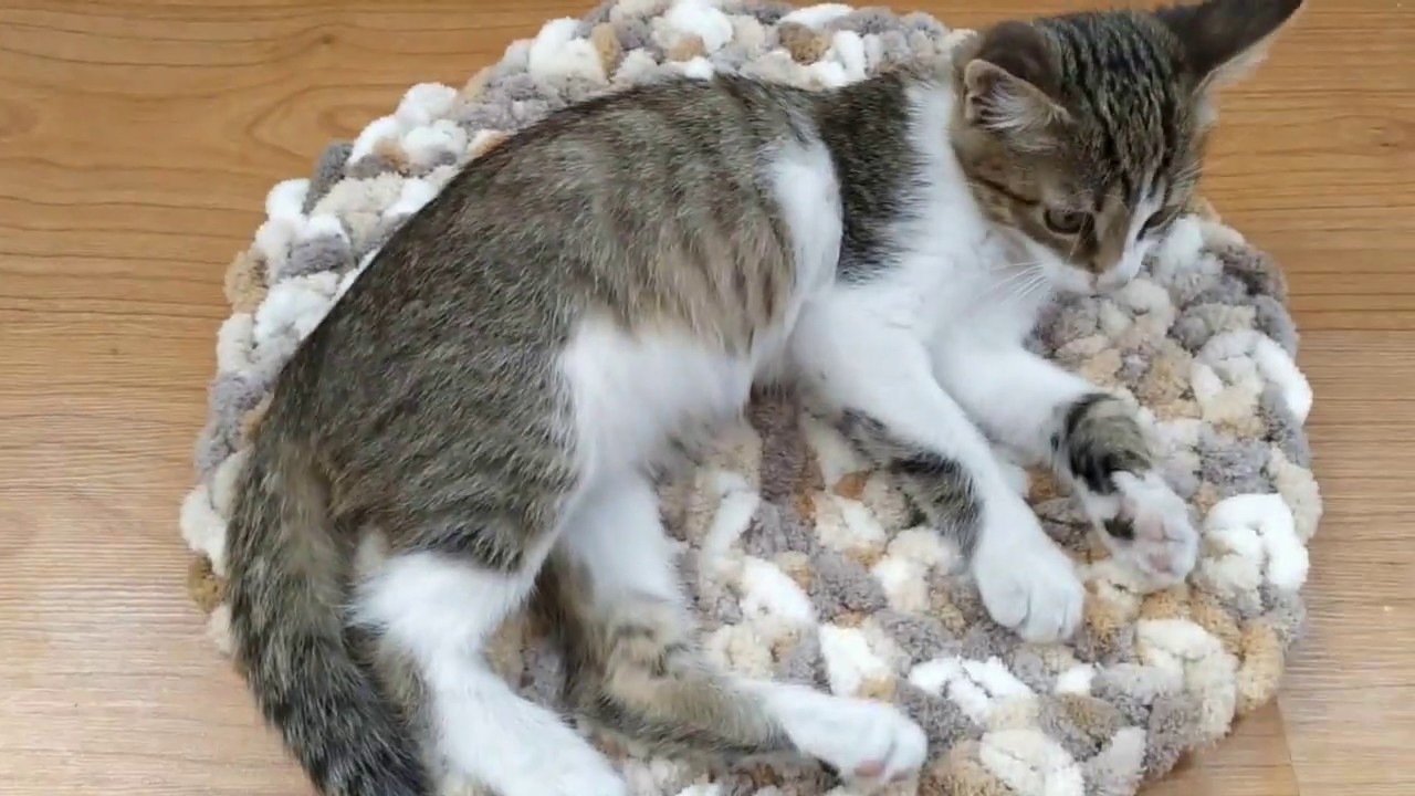 Коврик круглый с пряжи Alize Puffy Color