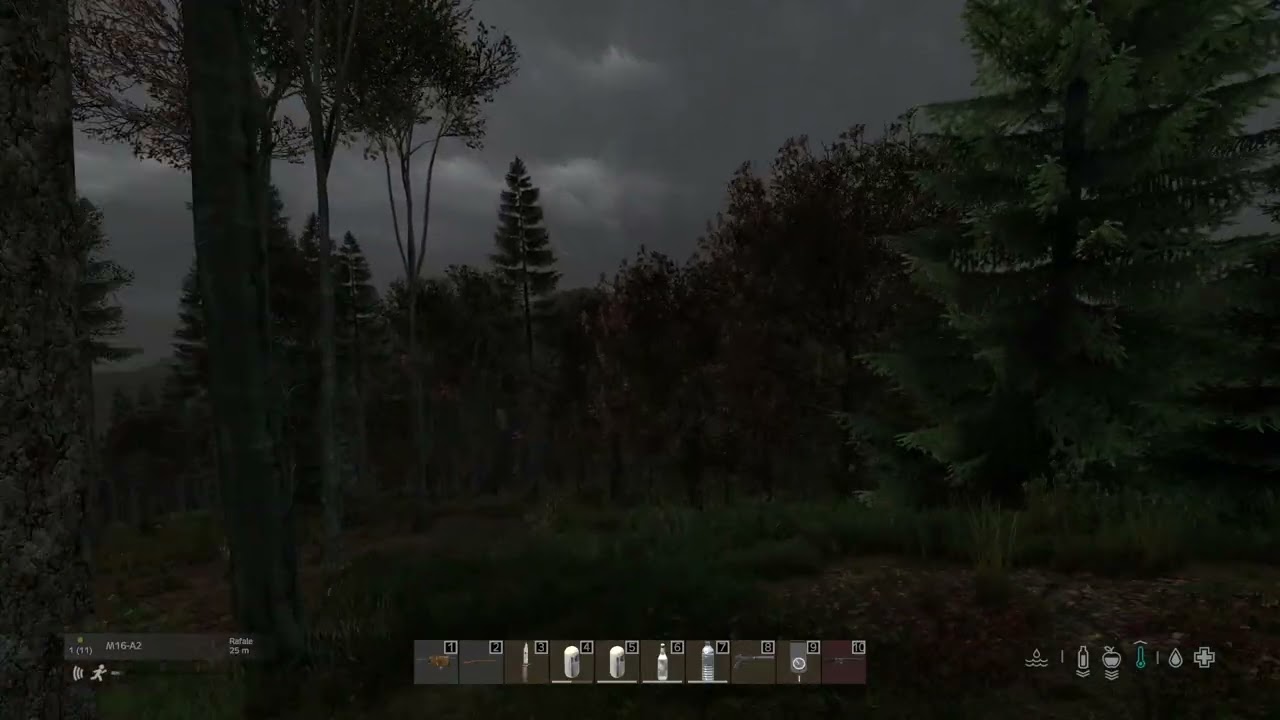 DayZ : 2026/01/19 
