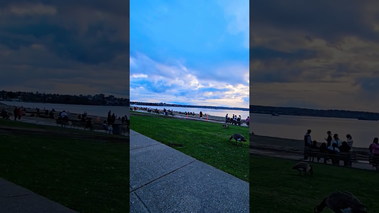 #enjoy #beautiful #relaxing #beach #goose #sky #vancouver #canada