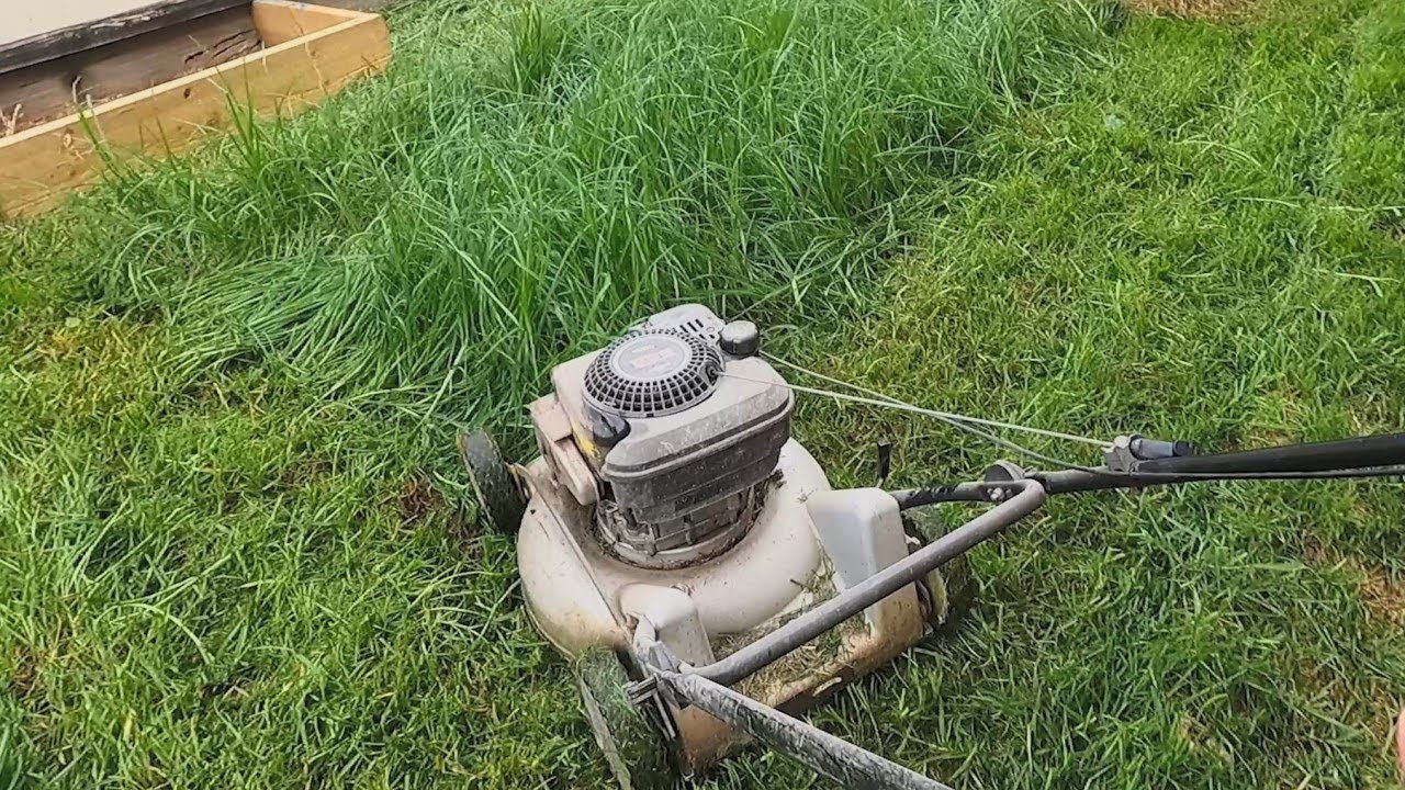 Lawn Mowing - MASPORT and VICTA take on OVERGROWN yard - PLUS Pressure Washing Concrete Path.