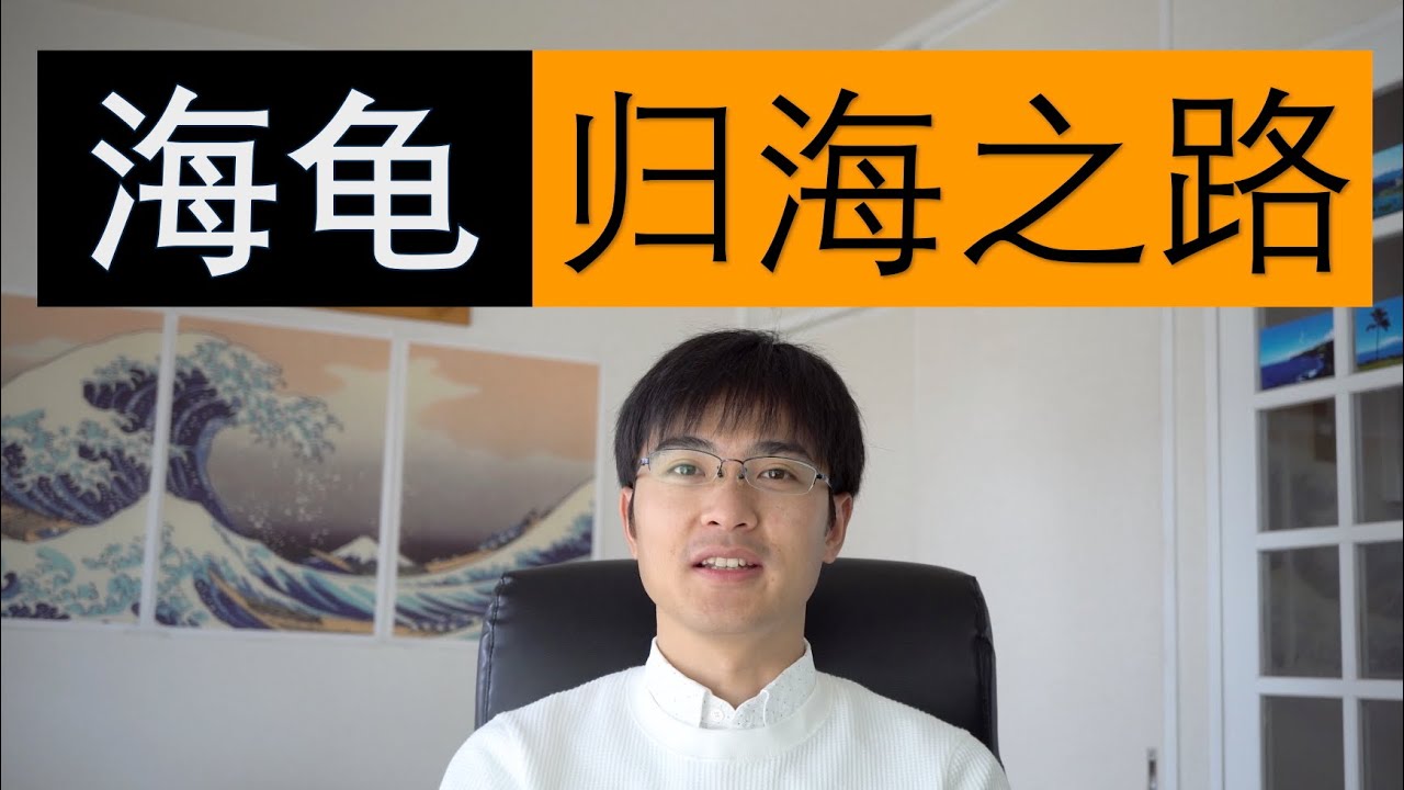归海漂博：从高校青年教师到海外博后｜海归博士的前世今生｜学术缅北