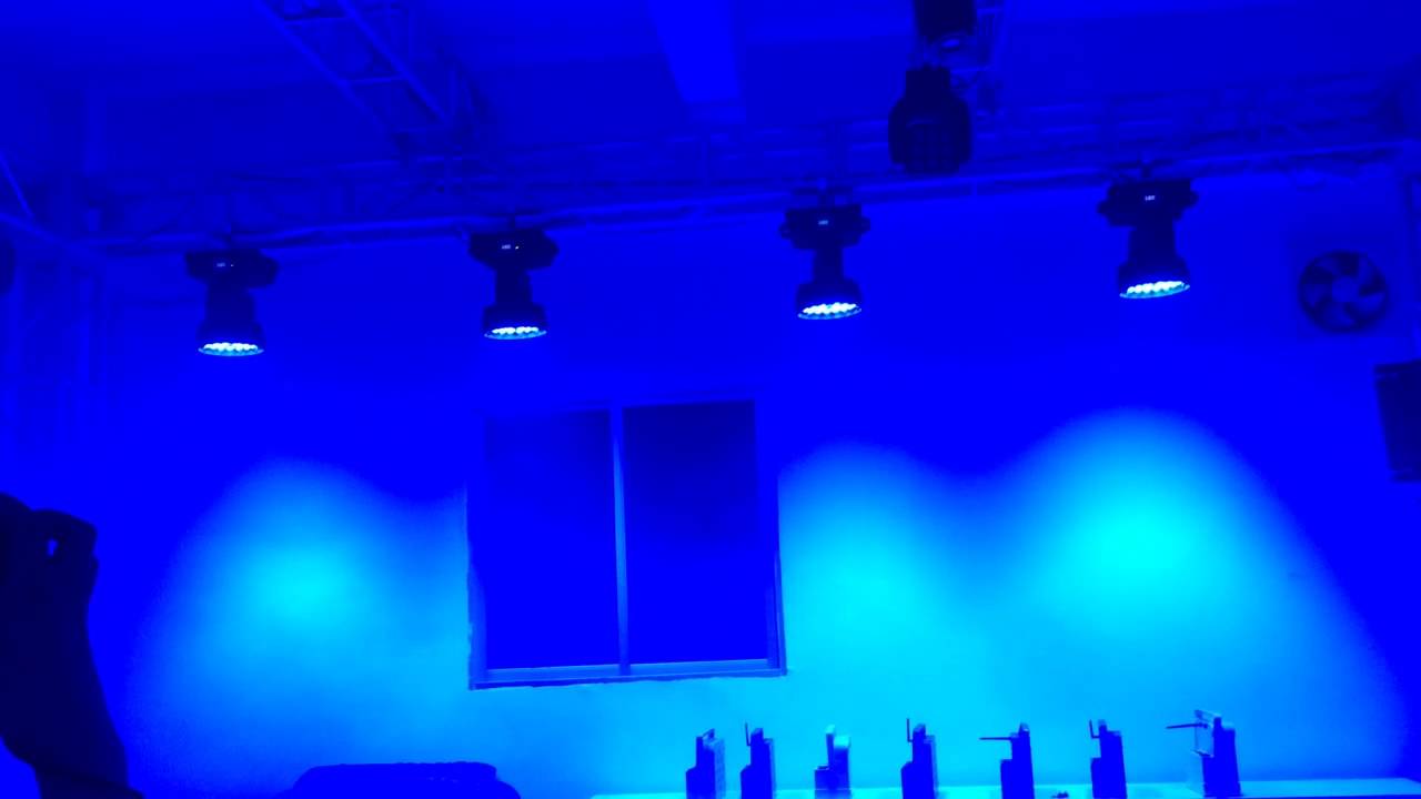 36x18w RGBWA+UV 6 in1  zoom moving head wash light