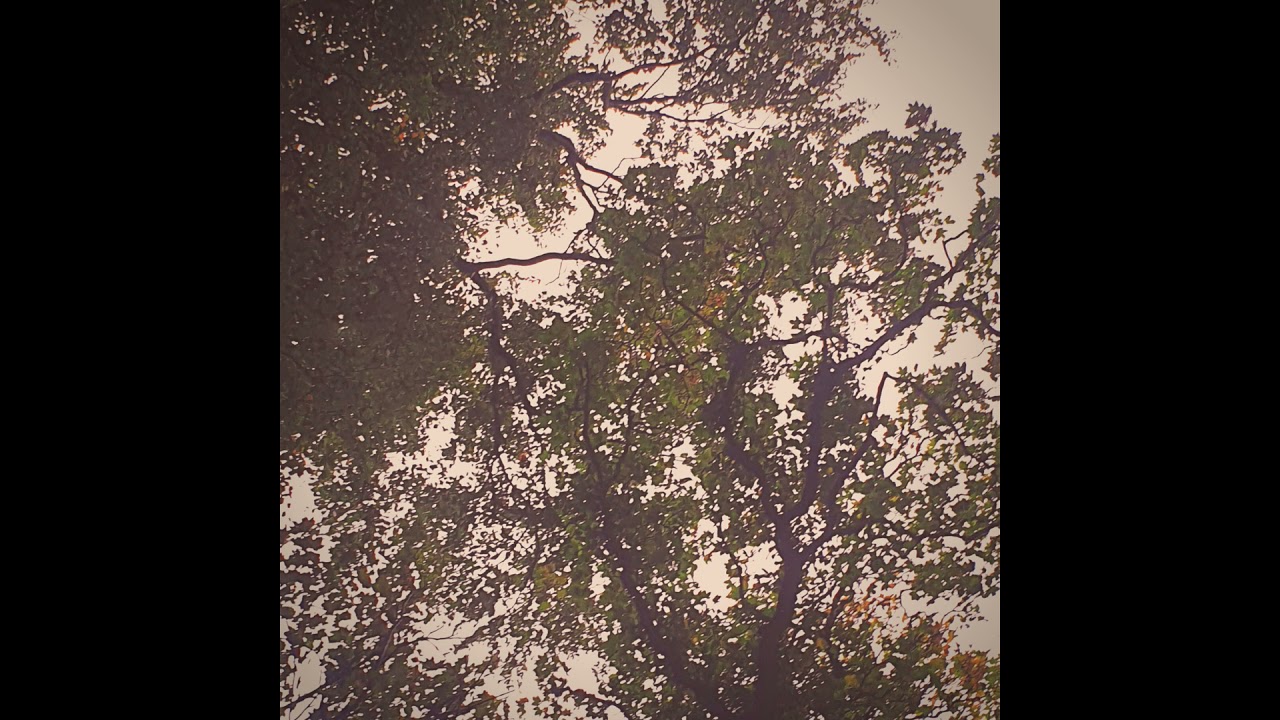 [SOLD] midwest emo x killedmyself x sewerperson x nothing, nowhere. type beat - all I have left.