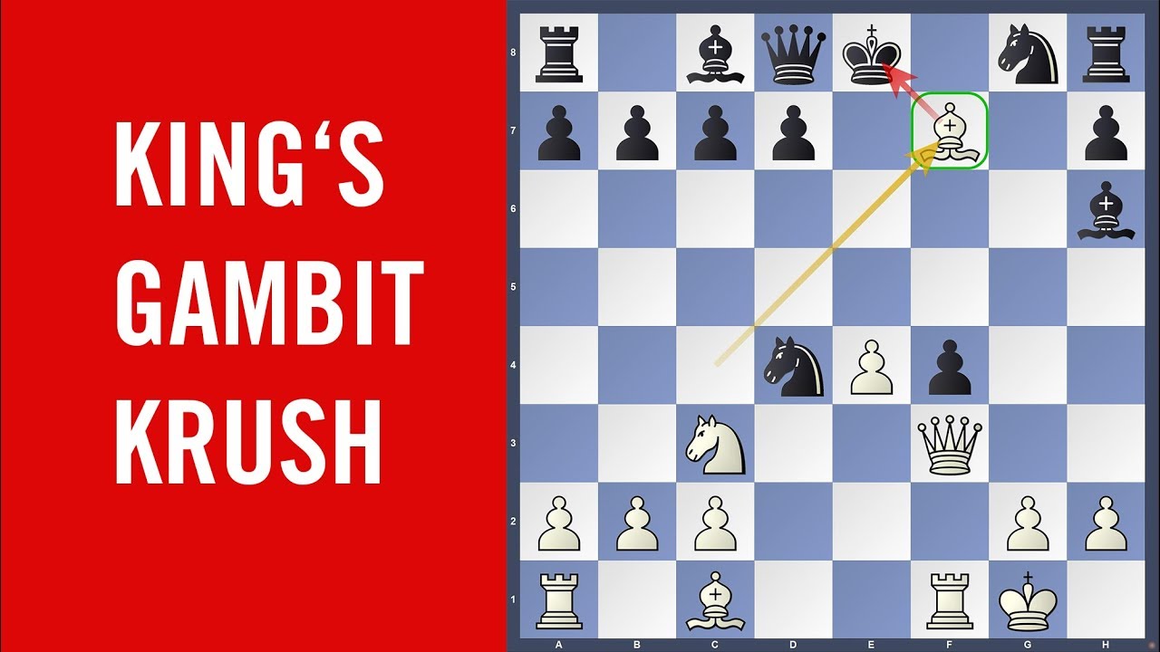 King's Gambit Krush