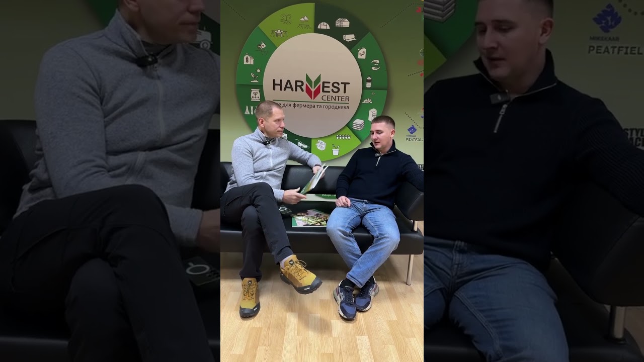 Томати для відкритого ґрунту від компанії Хазера: сорти Фабер, Гонг, Галілея та новинка Джолі
