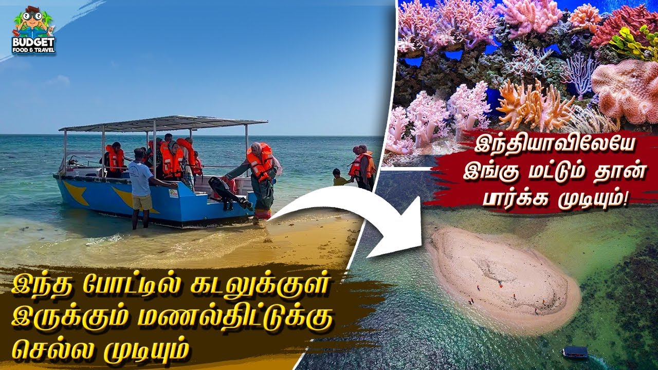 ₹200 ரூபாய்க்கு கடலுக்குள் ஒரு அருமையான பயணம்| Eruwadi boating  | Rameshwaram | pitchaimoopanvalasai