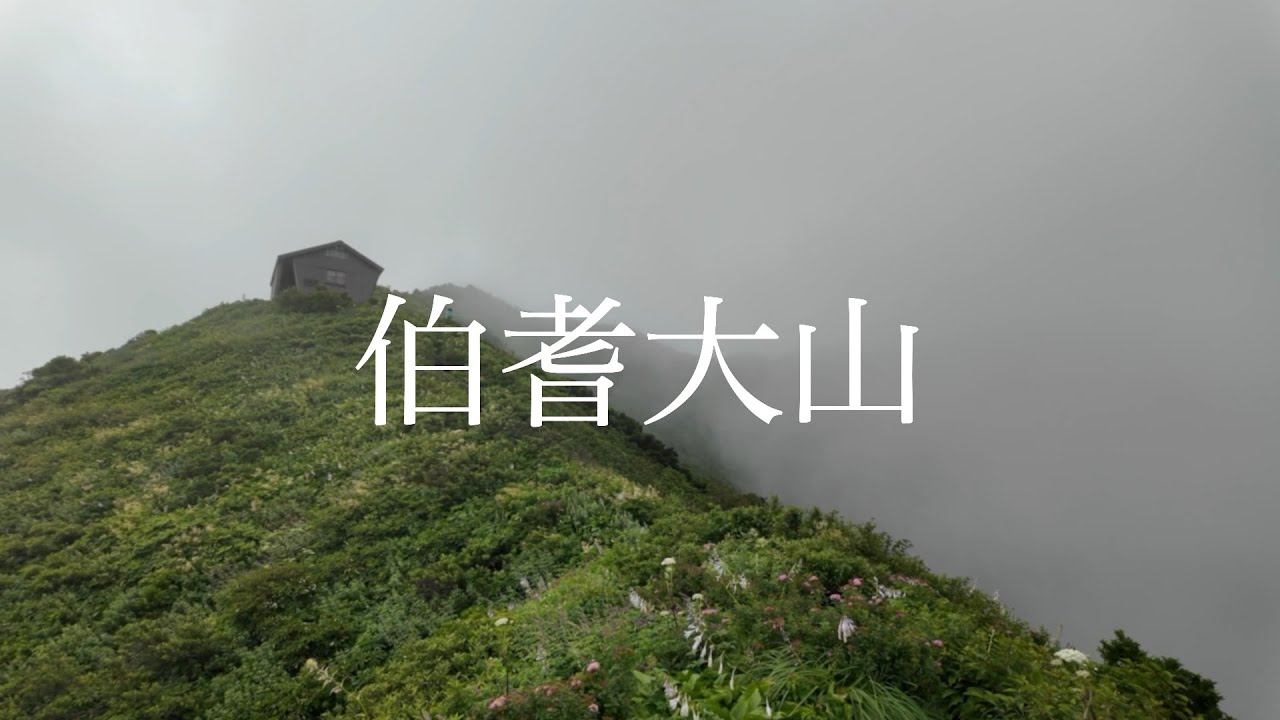 伯耆大山／急登を乗り越え花のユートピアへ#51