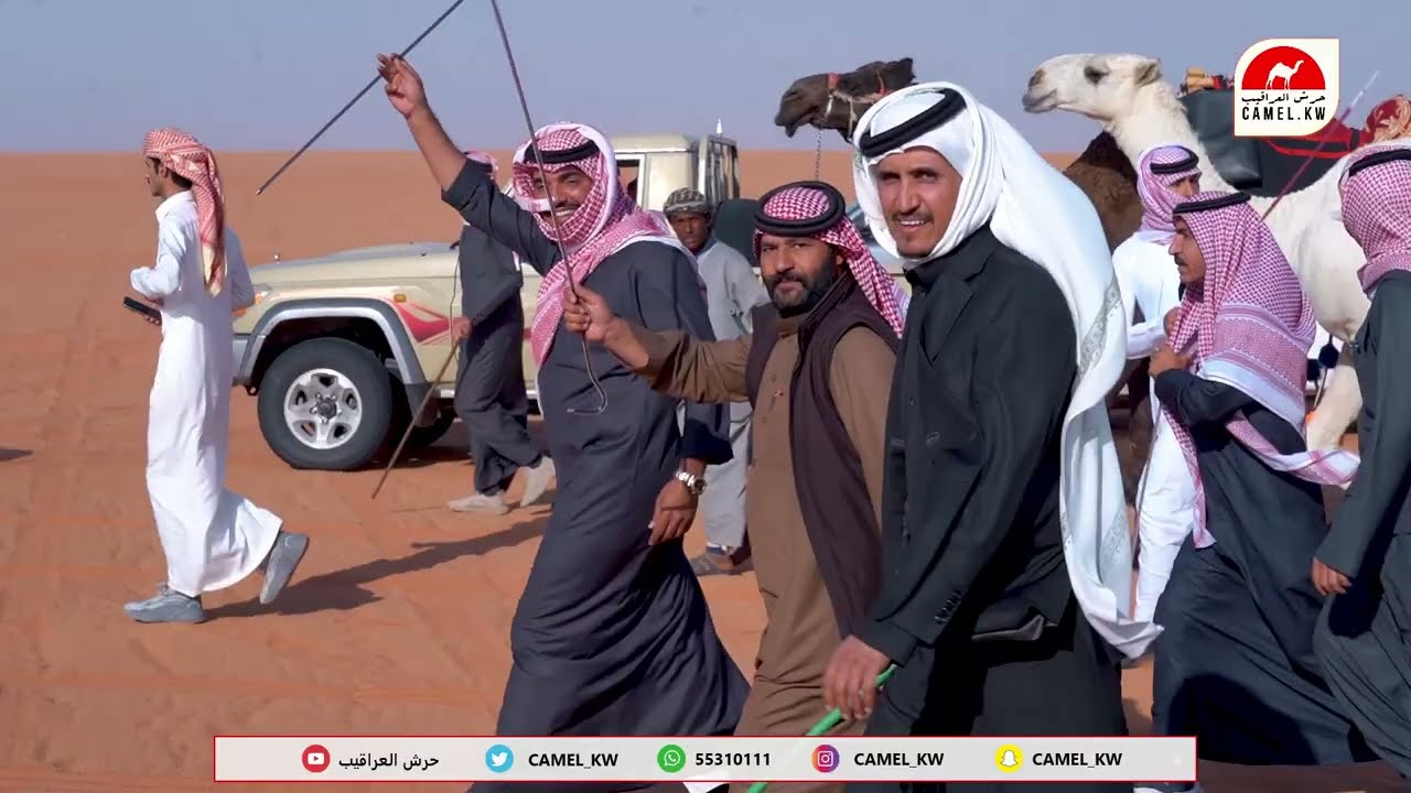 مسيرة:فهيد بن فنيسان السبيعي #مهرجان_الملك_عبدالعزيز_للإبل7