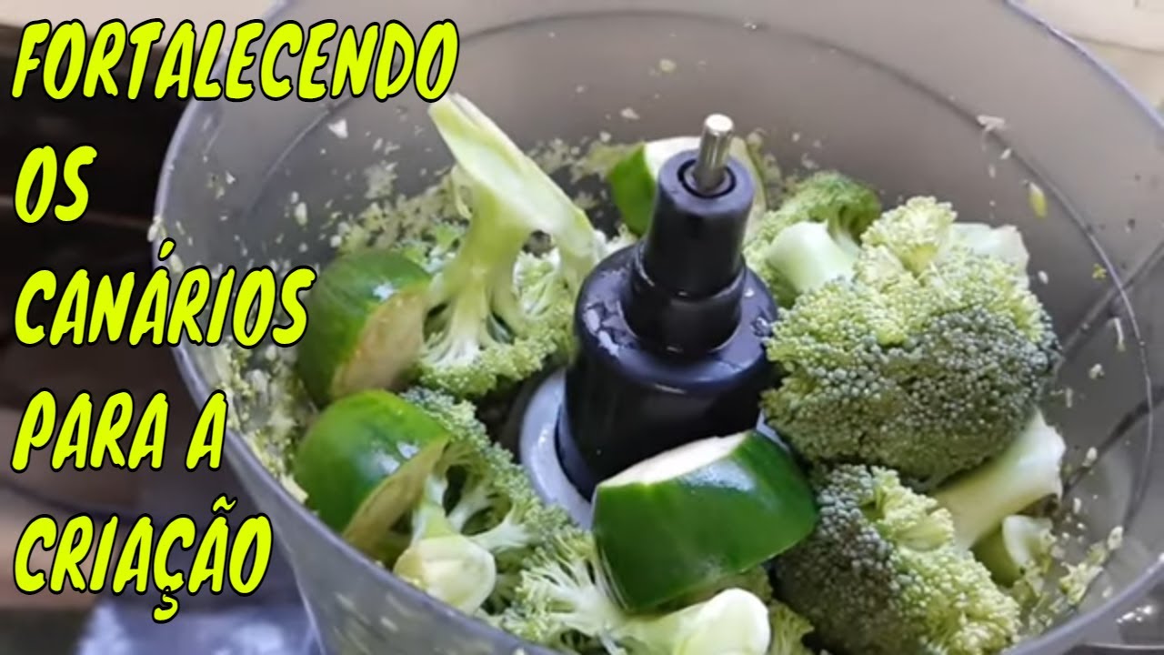 FORTALECENDO OS CANÁRIOS PARA CRIAÇÃO