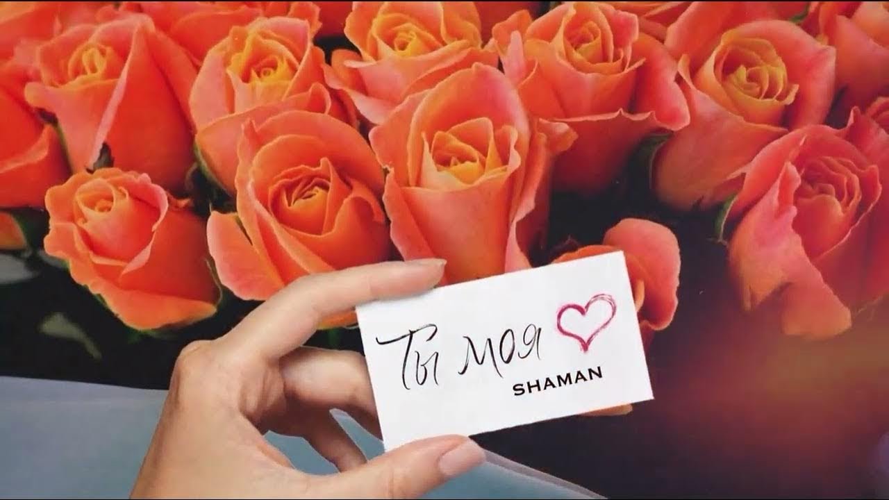 🔸SHAMAN - Ты моя (guitar cover by s.e_z.a.r)🎶🎸🎧