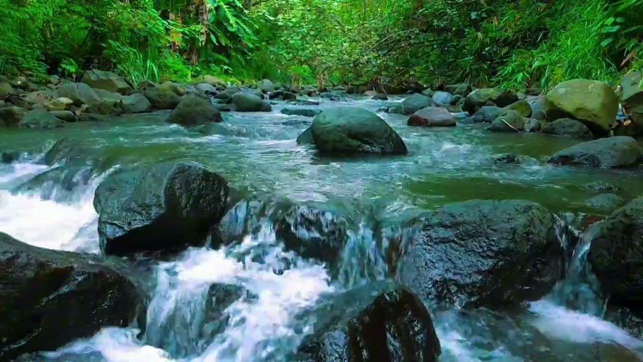 Mountain Stream ASMR: 4 Hours of Pure Water Sounds for Insomnia & Study Focus