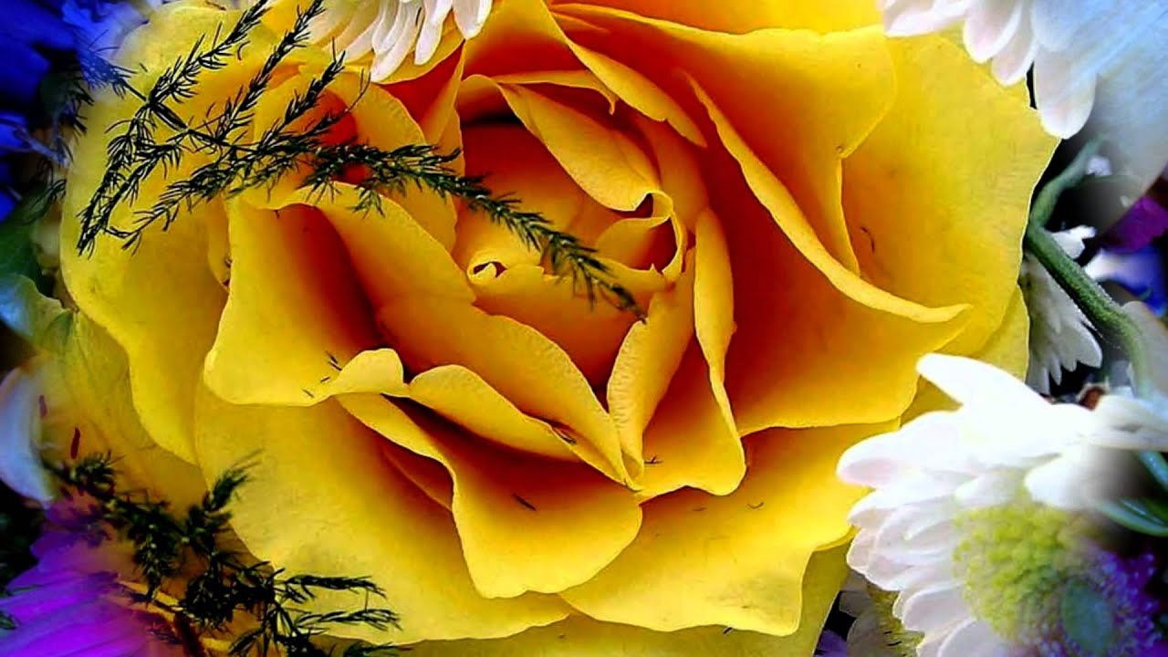 ** Valse Christine **      -     Richard  Abel