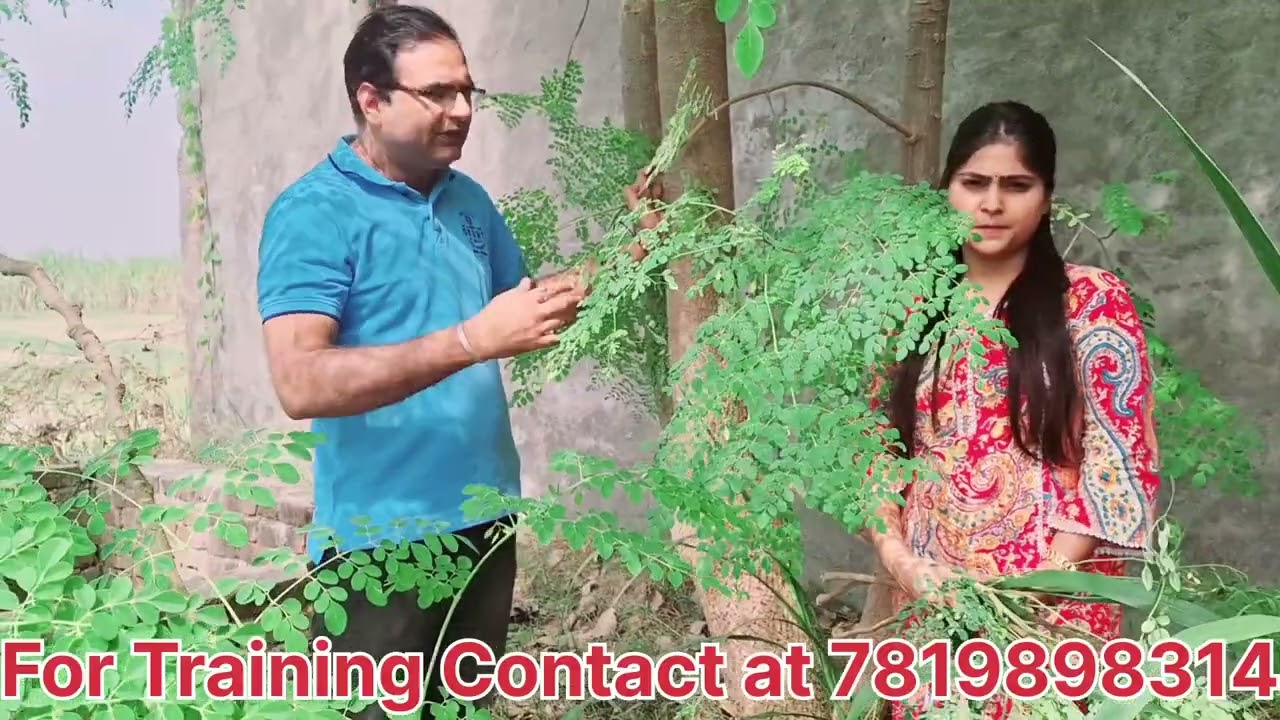 सहजन/मोरिंगा बकरी पालन में क्यों जरूरी है
