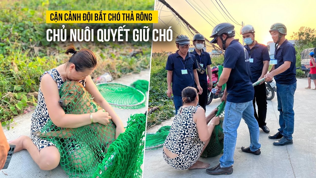 Cận cảnh màn cự cãi quyết giữ chó của chủ nuôi khi 