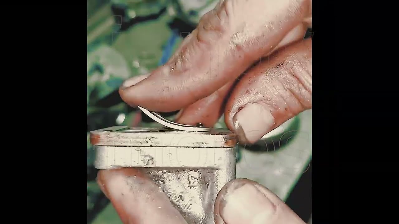 خذ فكره على كلابي 103