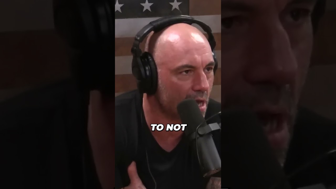 False Charged By Bear Joe Rogan 