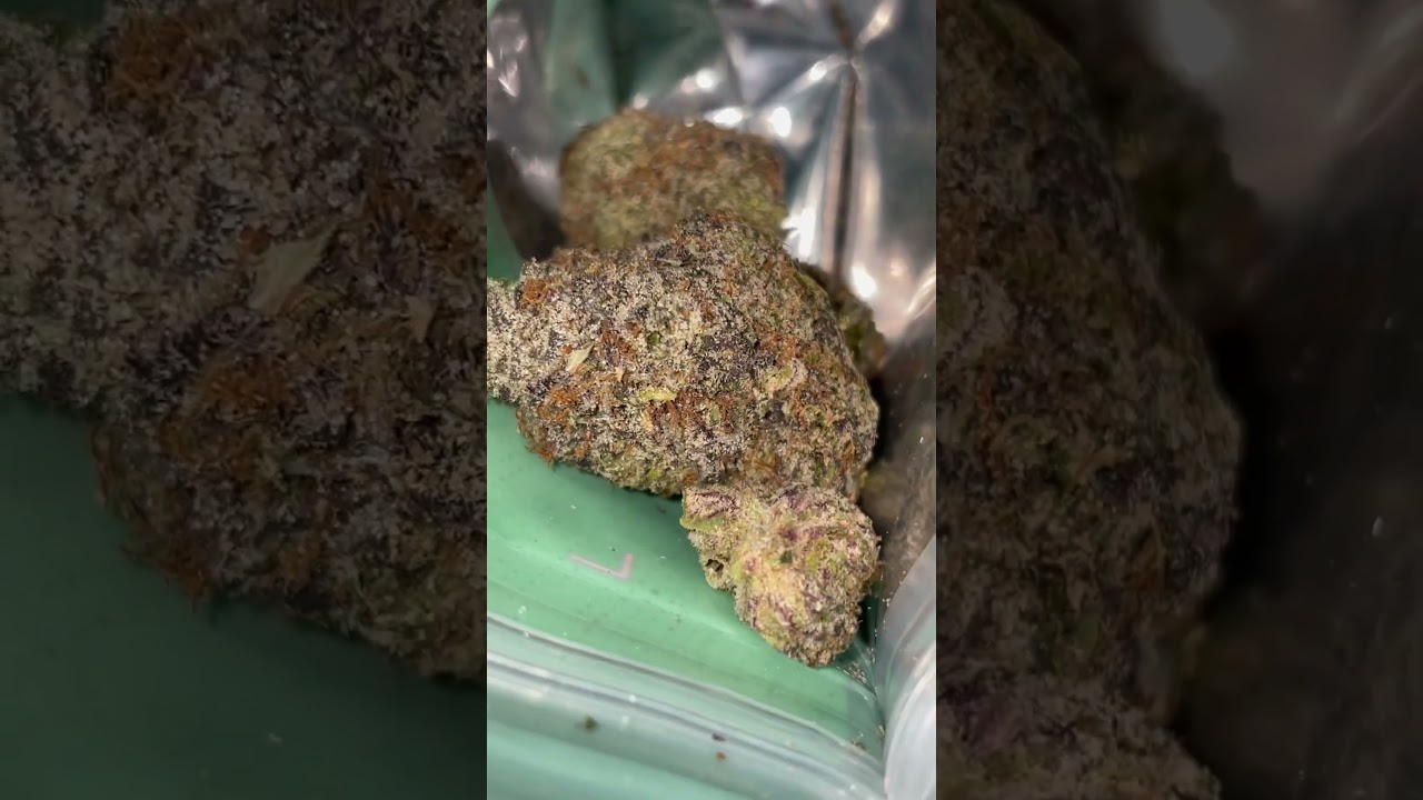 #BrainStew #LocalGrove #Michigan #Strains