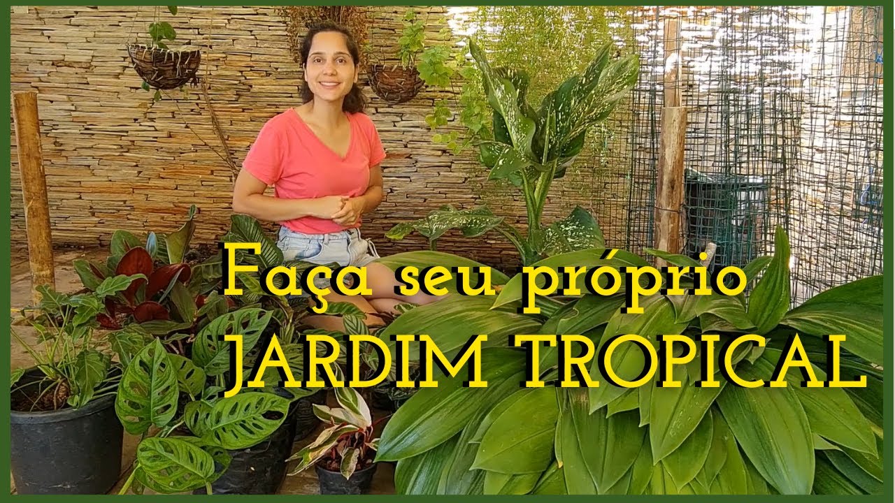 COMO FAZER UM Jardim tropical: pouco iluminado