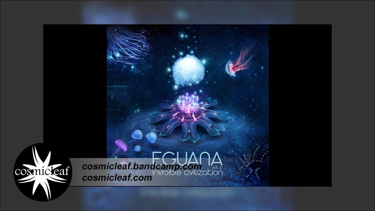 Eguana - Invisible Civilization Vol. 2 - 05 Extraterrestial Intelligence