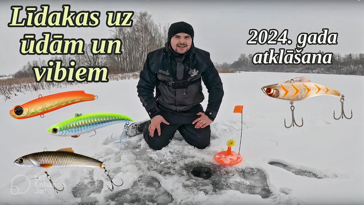 Līdaku cope uz vibiem un ūdām! Nepaspēju ielikt ūdu, kad karogs jau ir izšāvies! Zemledus cope 2024!