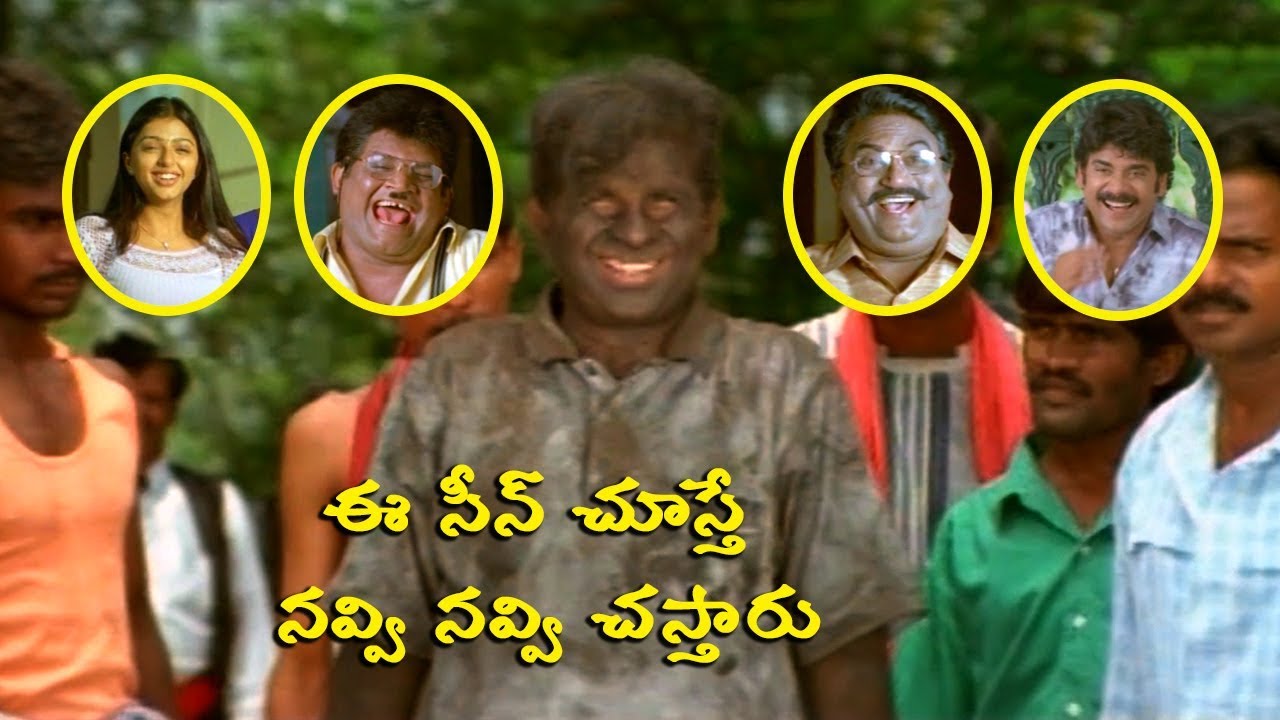 Snehamante Idera | Ultimate Comedy Scenes | Nagarjuna-Bhoomika