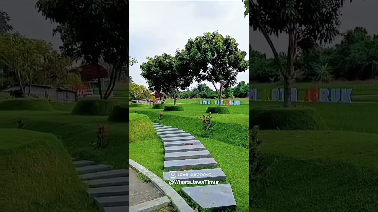 Taman Hutan Kota Jeruk Lakarsantri #jawatimur #surabaya #wisatajawatimur #wisata #tamankota #fyp