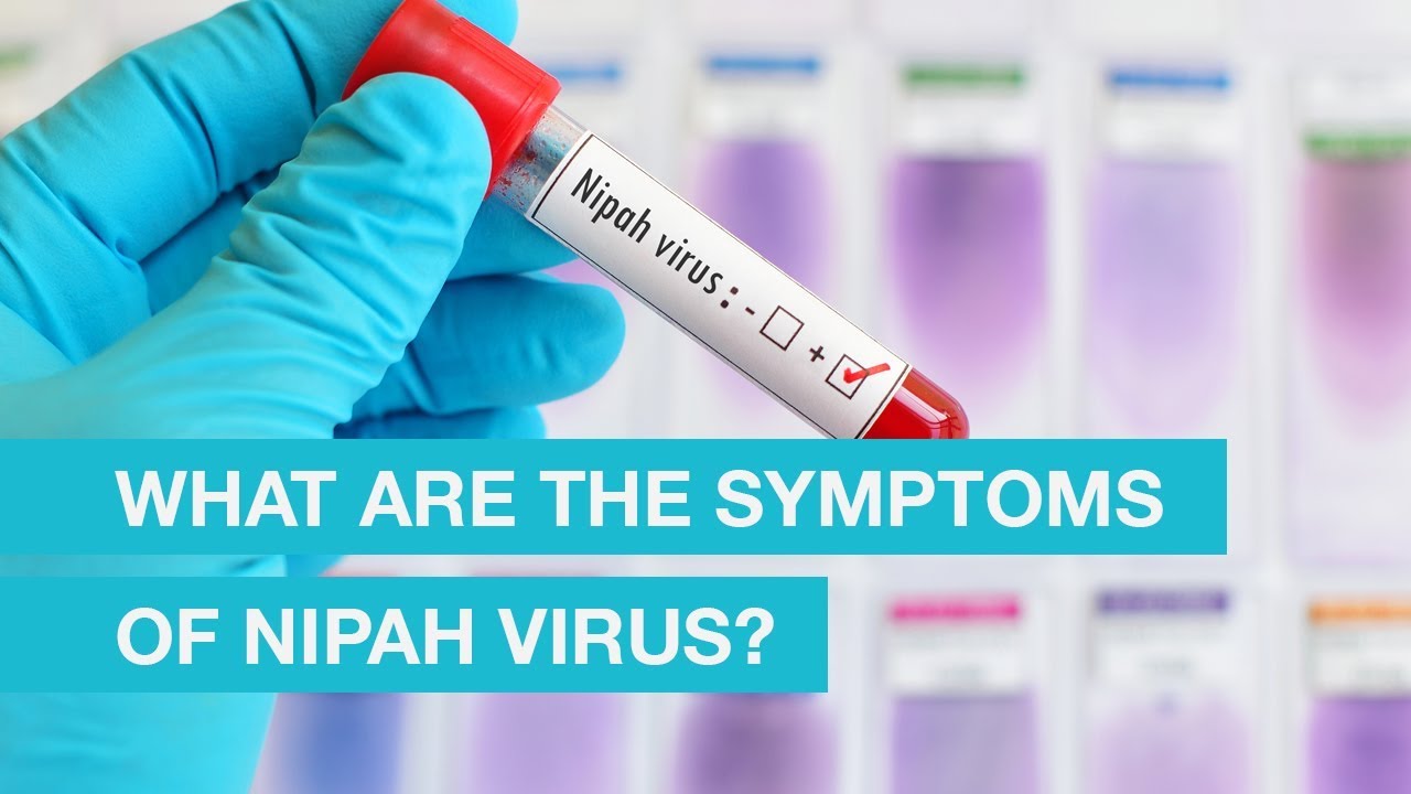 What are the Symptoms of Nipah Virus?
