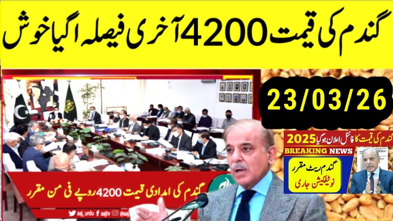 Today Wheat price in punjab/گندم کا ریٹ 2025/munji makki till sarso/Galla mandi rates today #punjab