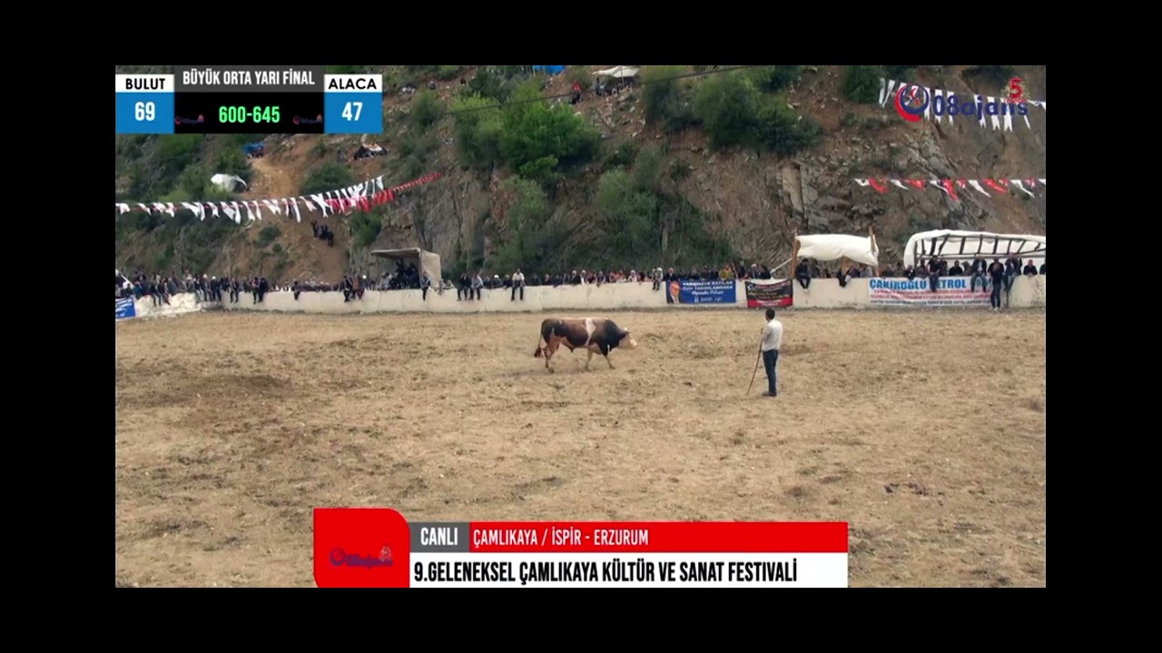 İspir çamlıkaya.      Bulut.  Vs.   Alaca